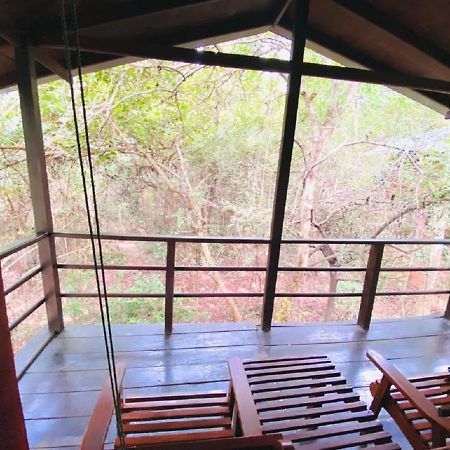 The Inn On The Tree Sigiriya Luaran gambar