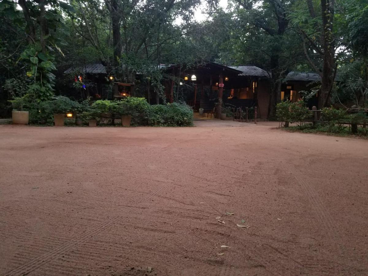 The Inn On The Tree Sigiriya Luaran gambar