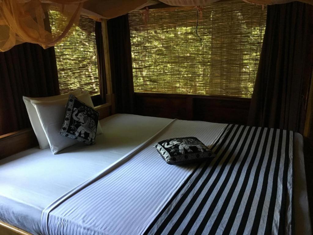 The Inn On The Tree Sigiriya Luaran gambar