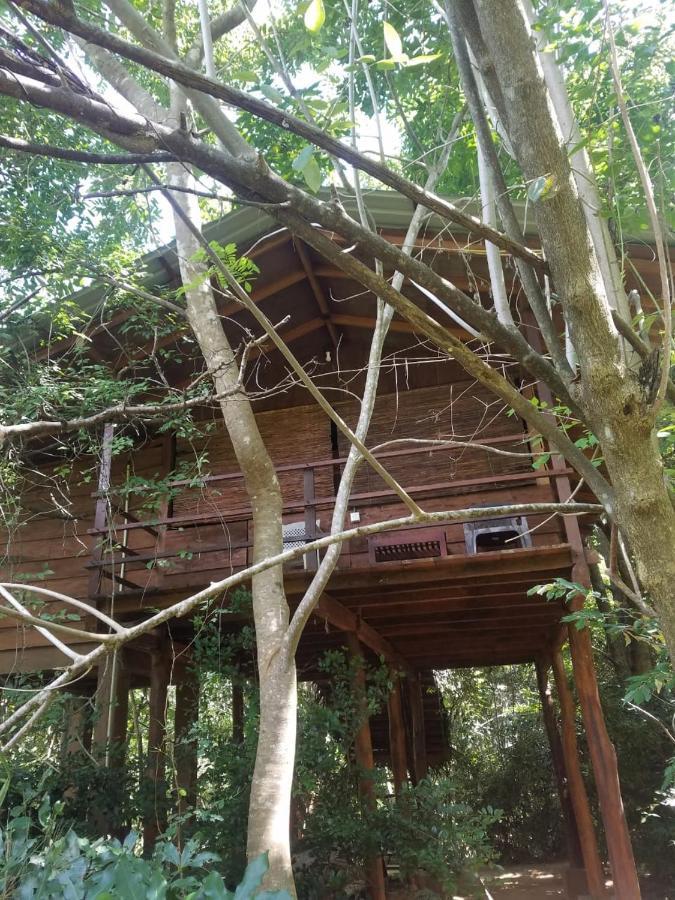 The Inn On The Tree Sigiriya Luaran gambar