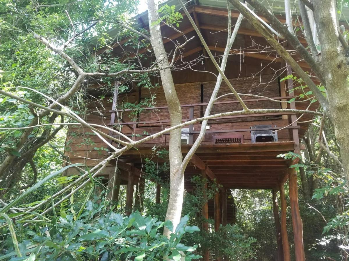The Inn On The Tree Sigiriya Luaran gambar