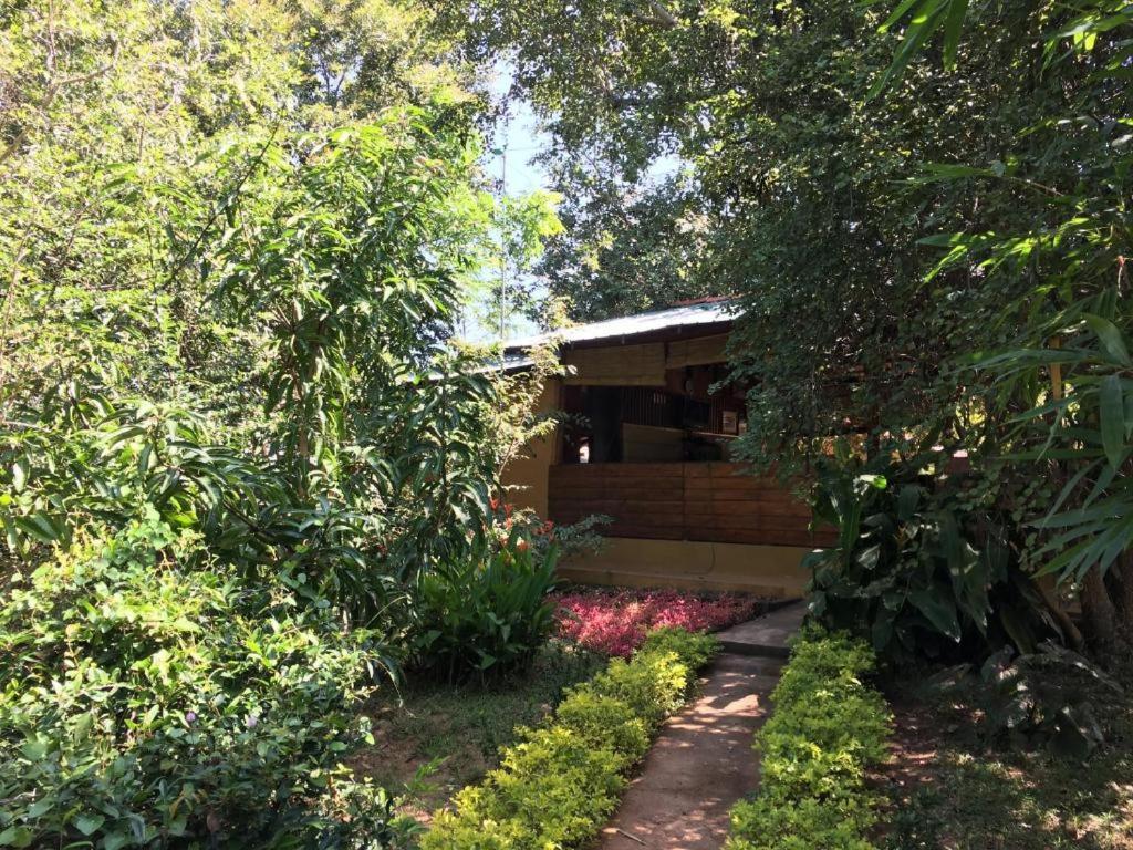 The Inn On The Tree Sigiriya Luaran gambar
