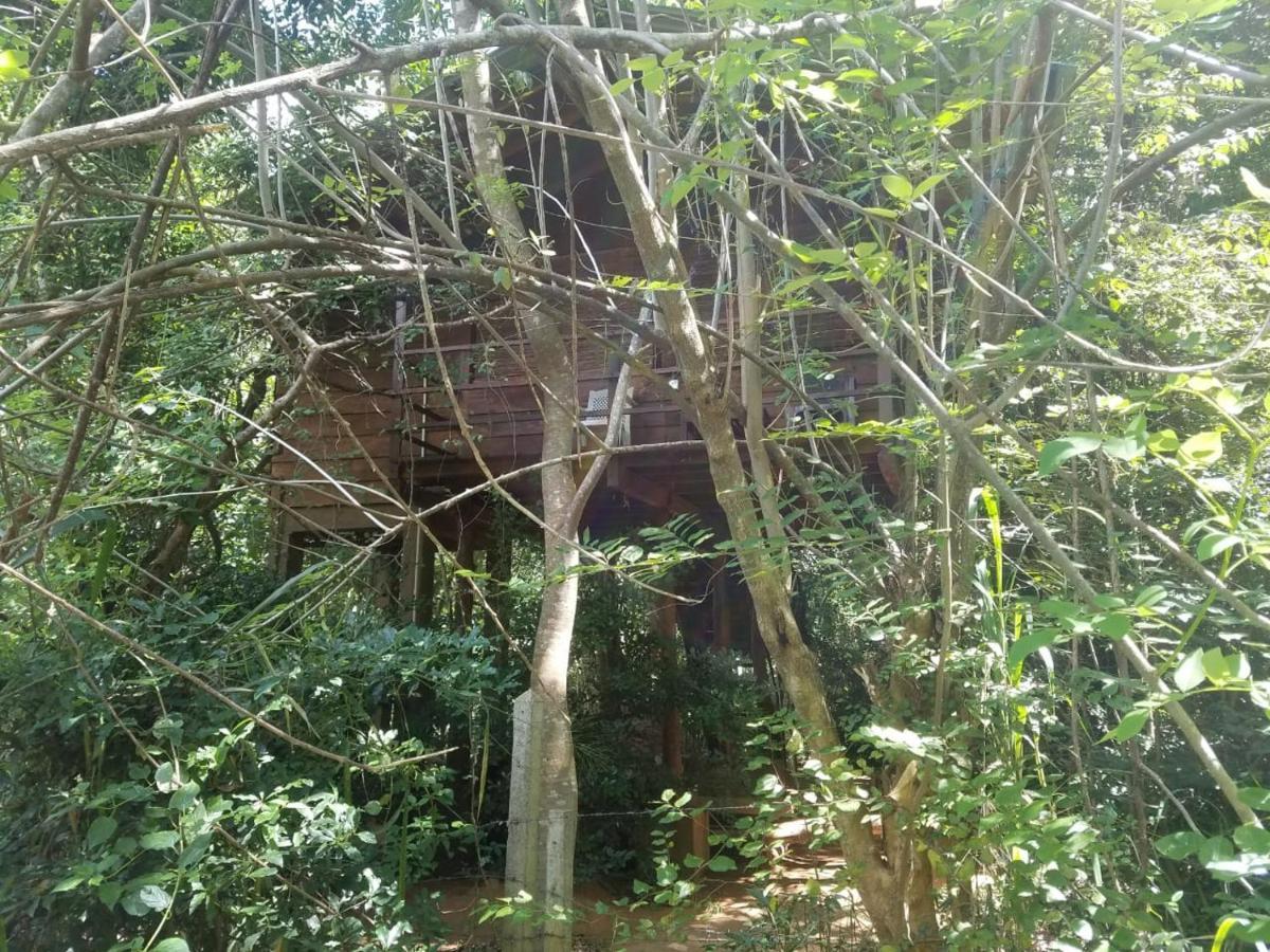 The Inn On The Tree Sigiriya Luaran gambar
