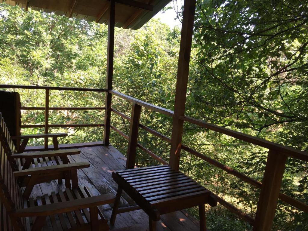 The Inn On The Tree Sigiriya Luaran gambar