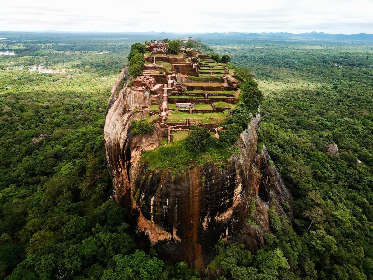 The Inn On The Tree Sigiriya Luaran gambar