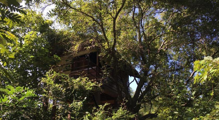 The Inn On The Tree Sigiriya Luaran gambar