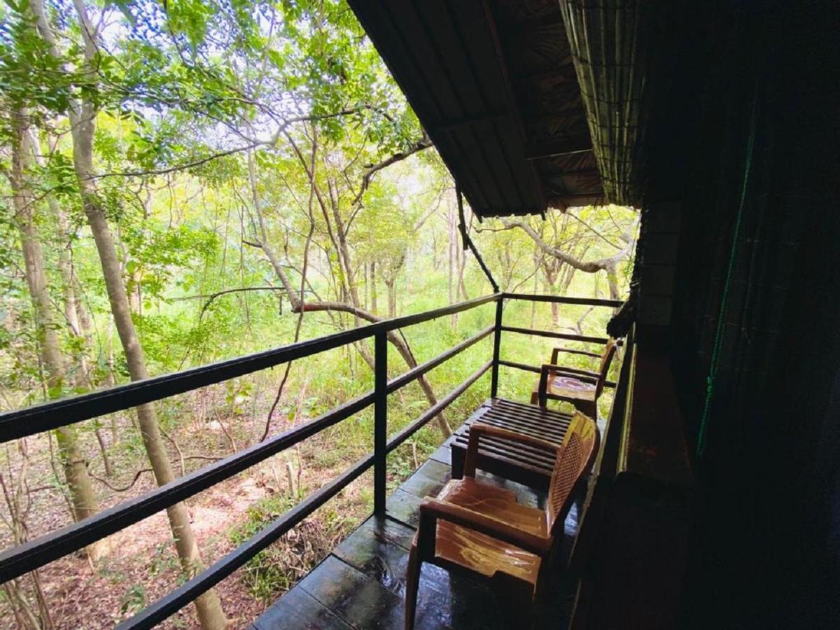 The Inn On The Tree Sigiriya Luaran gambar
